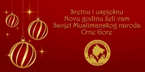 NOVOGODIŠNJA ČESTITKA